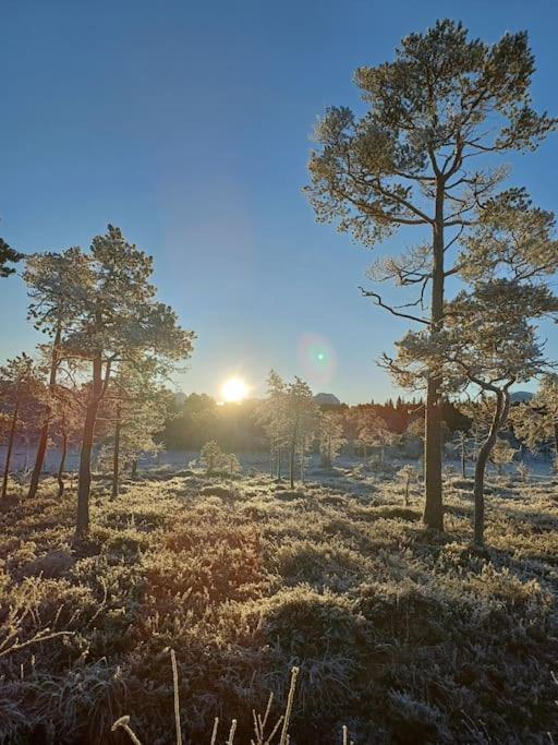 Koselig Og Moderne Leilighet, Meget Sentralt I Narvik Med Gratis Parkering! 外观 照片