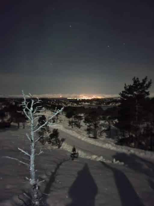 Koselig Og Moderne Leilighet, Meget Sentralt I Narvik Med Gratis Parkering! 外观 照片