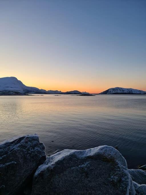 Koselig Og Moderne Leilighet, Meget Sentralt I Narvik Med Gratis Parkering! 外观 照片