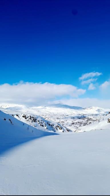 Koselig Og Moderne Leilighet, Meget Sentralt I Narvik Med Gratis Parkering! 外观 照片